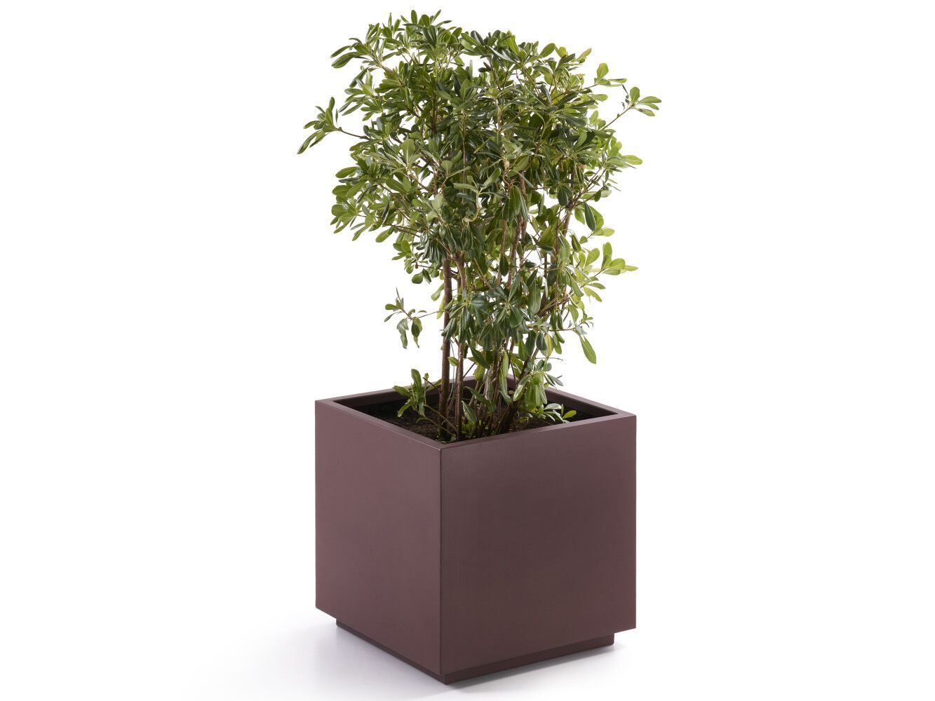 Окрашенный металлический квадратный плантатор Fi.Ma LINE ARCH-00102080 - Вид №1