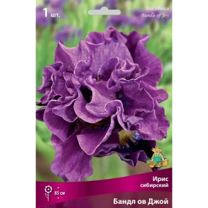 83597275 Ирис сибирский Бандл Ов Джой луковица I STLM-0956346