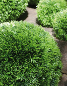 4581 883 a3 Пластиковый мяч для травы, синтетический материал, Ø 12 см, зеленый H-andreas