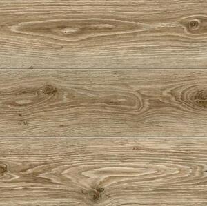 Ламинат Maestro Club Дуб Готик CA06