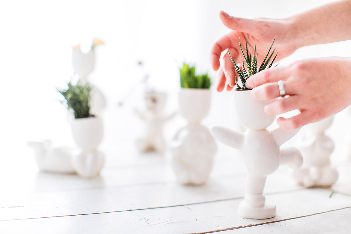 Набор для выращивания eco "Танцор" ЭКОЧЕЛОВЕКИ  254586 Белый  - Вид №3