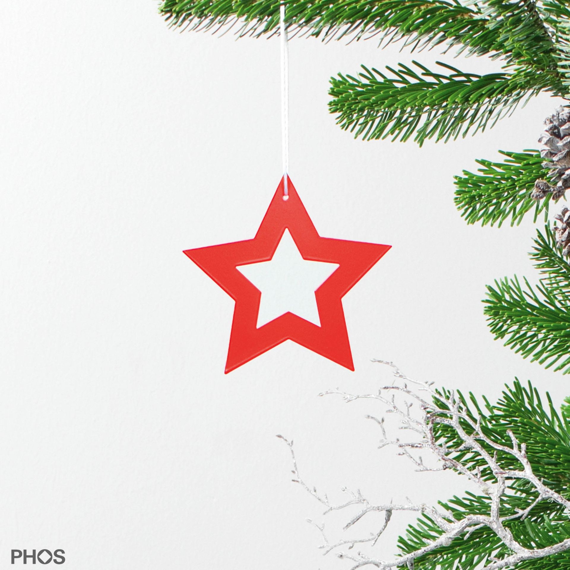 STERN3KR Poinsettia polaris-2, красная порошковая окраска PHOS 