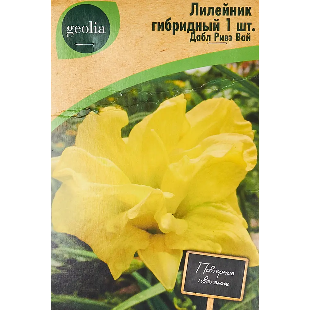 Лилейник Geolia гибридный Дабл Ривэ Вай 86408692 STLM-2036346 