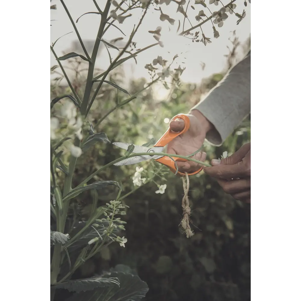 Ножницы садовые Fiskars 19823370 STLM-2070000  - Вид №4