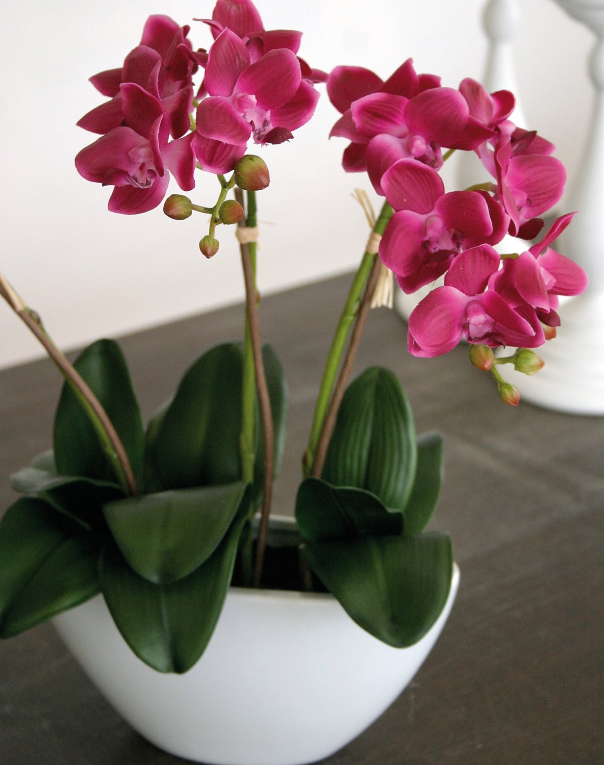 2609 420 a3 Пластиковая орхидея Phalaenopsis, 3-х кратная, в миске, 38 см, real touch, вишня H-andreas  - Вид №9