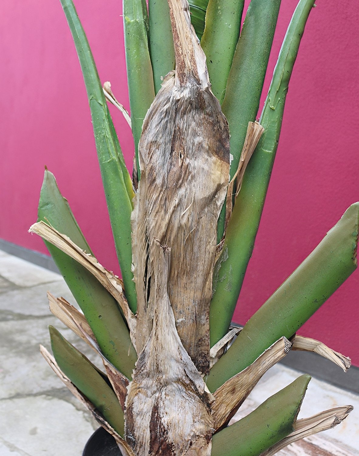 5894 883 a3 Хеликония искусственная, в горшке, 210 см, зеленая H-andreas  - Вид №1