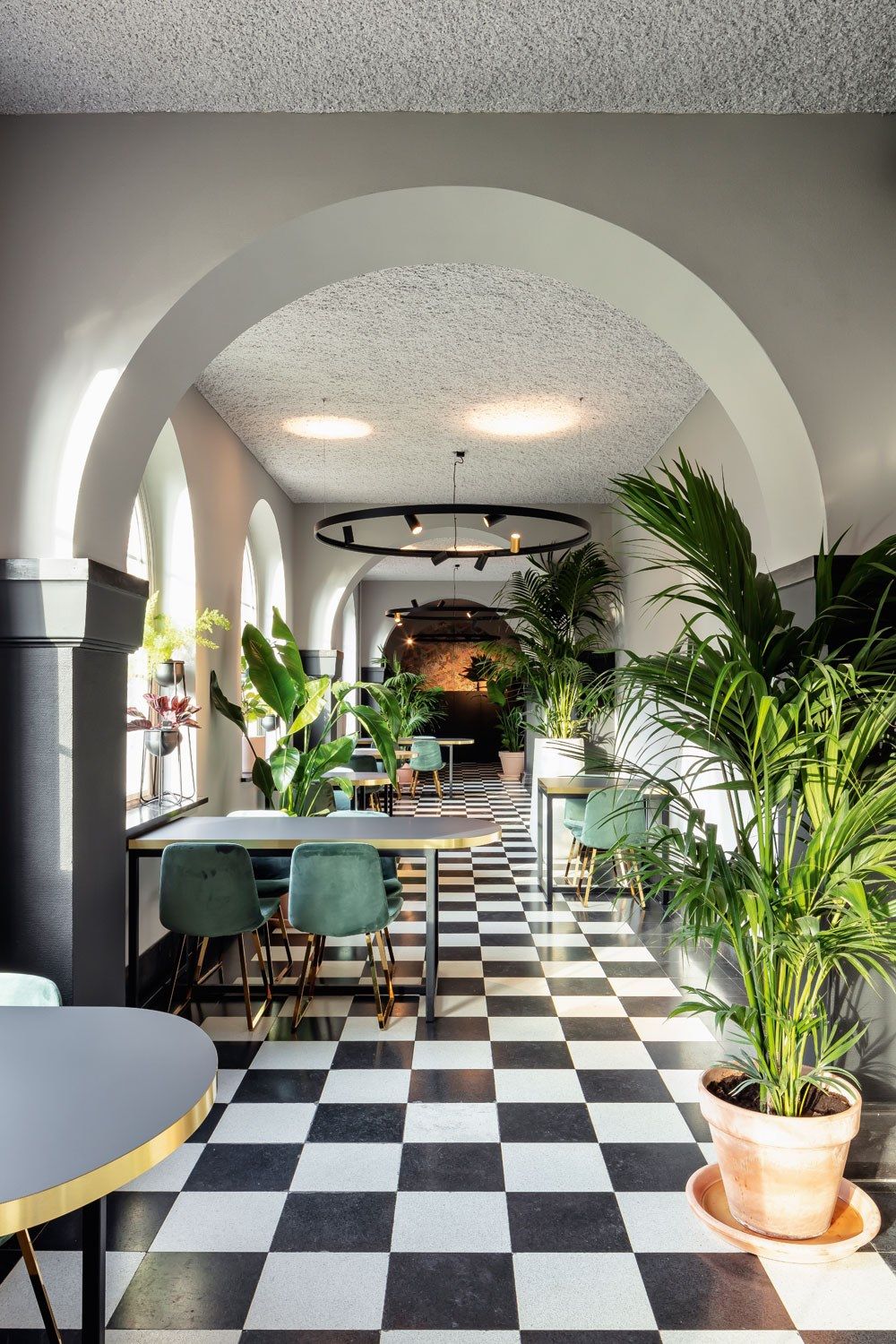 Светодиодный подвесной светильник Deltalight Superloop ARCH-00115363 - Вид №7