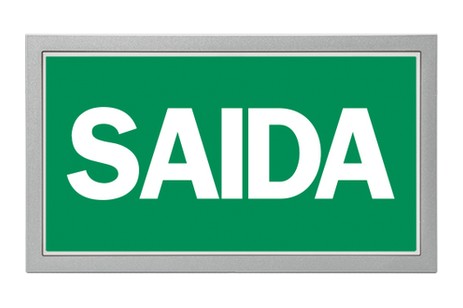 DST-615 Lisu flush-mounted Daisalux Светильники аварийные Серебристо-Серый 