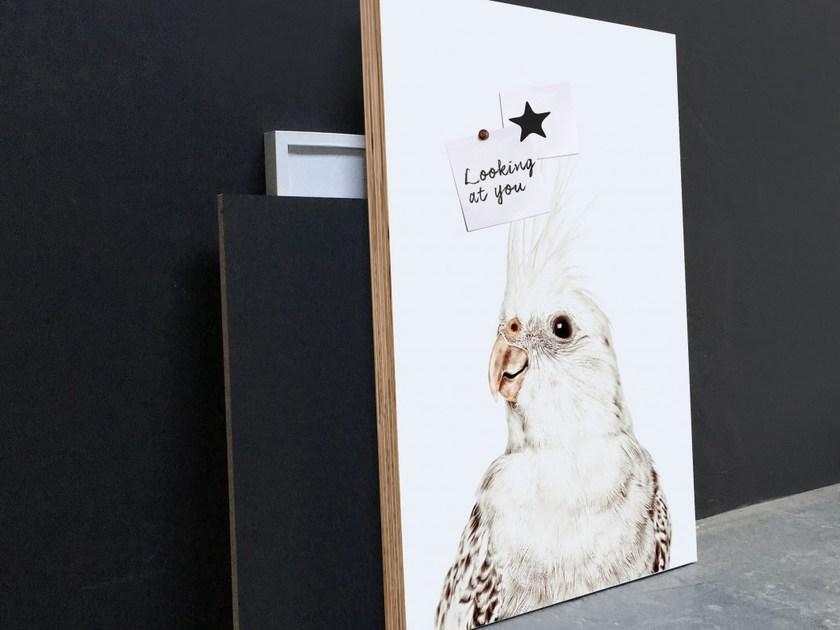 Groovy Magnets Магнитный плакат Animal Pos-62-p - Вид №3