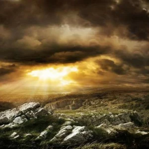 WP01654 Фотообои Verol Фотообои decoline 1х1 м