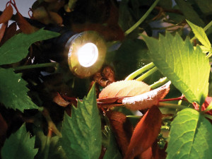 Напольный напольный напольный заполнитель Сид