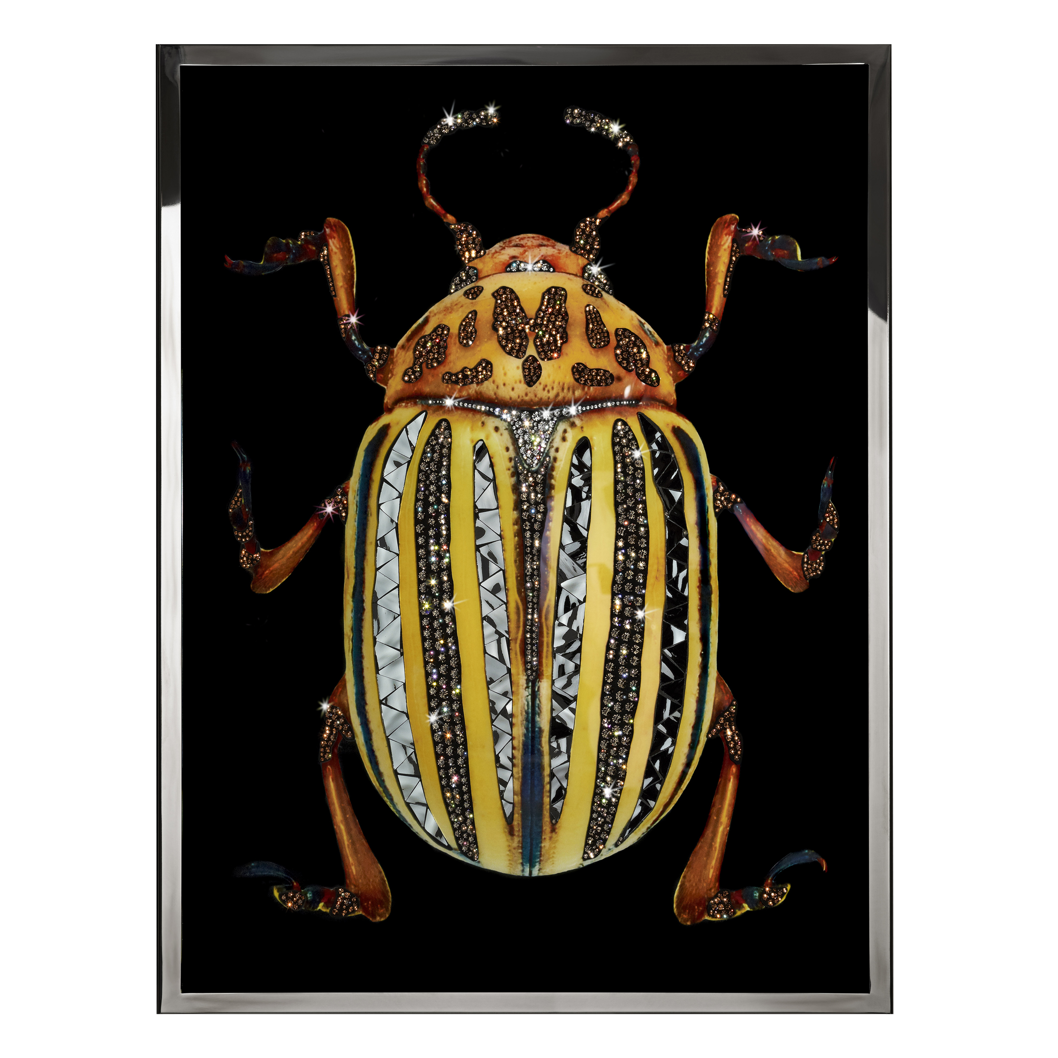 Coleottero Giallo Смешанная техника Visionnaire  - Вид №1