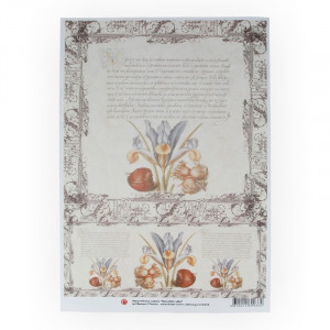 013648 Декупажная карта 21 x 29.7 см "Ирисовый цвет" Чип-Арт