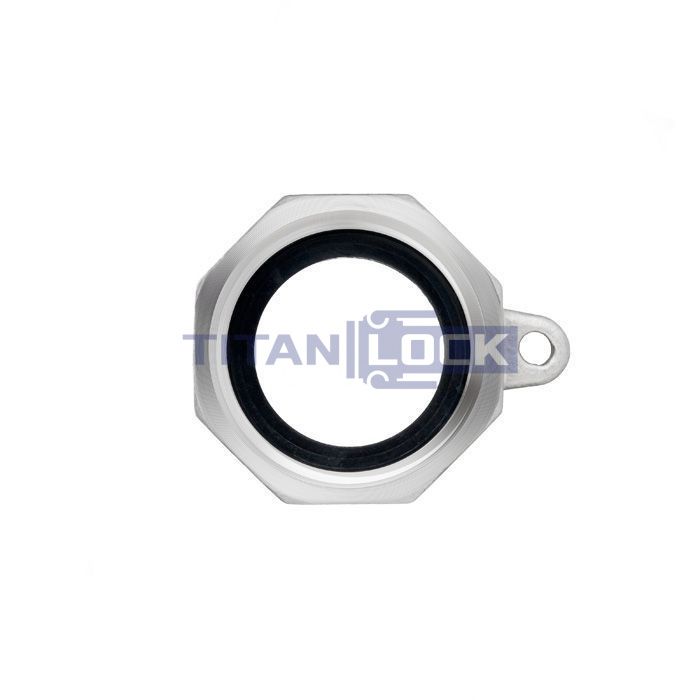 Камлок нержавеющий тип A ниппель, внутр. резьба BSP 2", AISI316, TL200ASS316 TITAN LOCK  - Вид №4