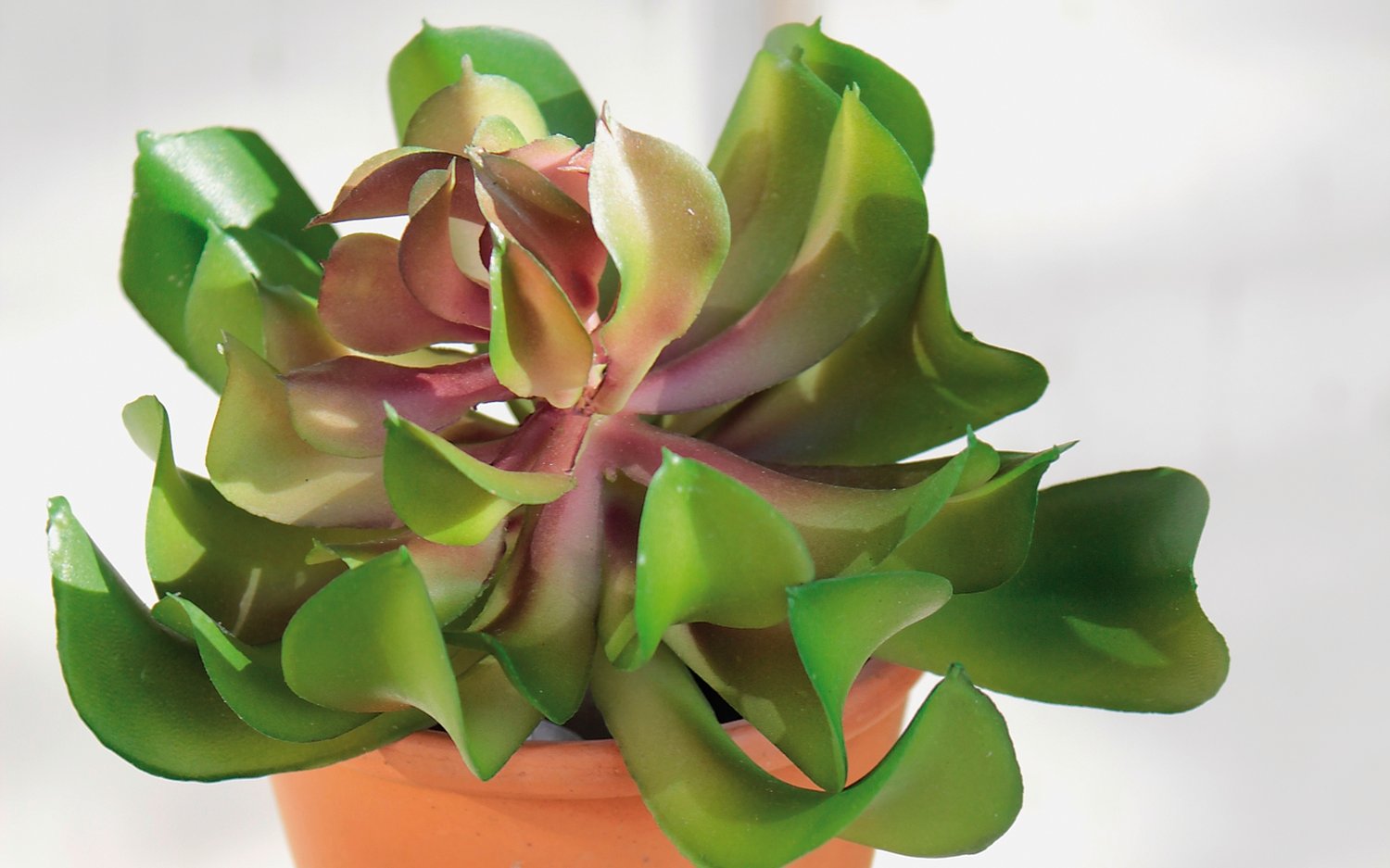 6487 883 a3 Эониум искусственный на палочке, 13 см, Ø 10 см, зеленый H-andreas  - Вид №2