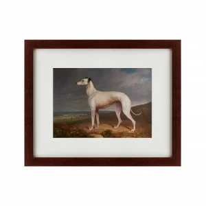 Картина в деревянной раме 52х42 см Portrait of a Greyhound, 1744 КАРТИНЫ В КВАРТИРУ  135546 Бежевый;белый;коричневый;разноцветный