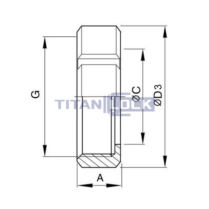 Молочная гайка по стандарту SMS 4" (BIG), нерж. 304, TL4NUTS-S-BIG TITAN LOCK  - Вид №1