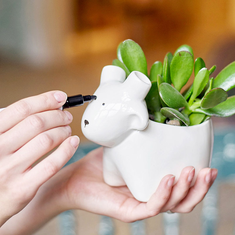 Набор для выращивания eco "Овечка" ЭКОЧЕЛОВЕКИ  254579 Белый  - Вид №3