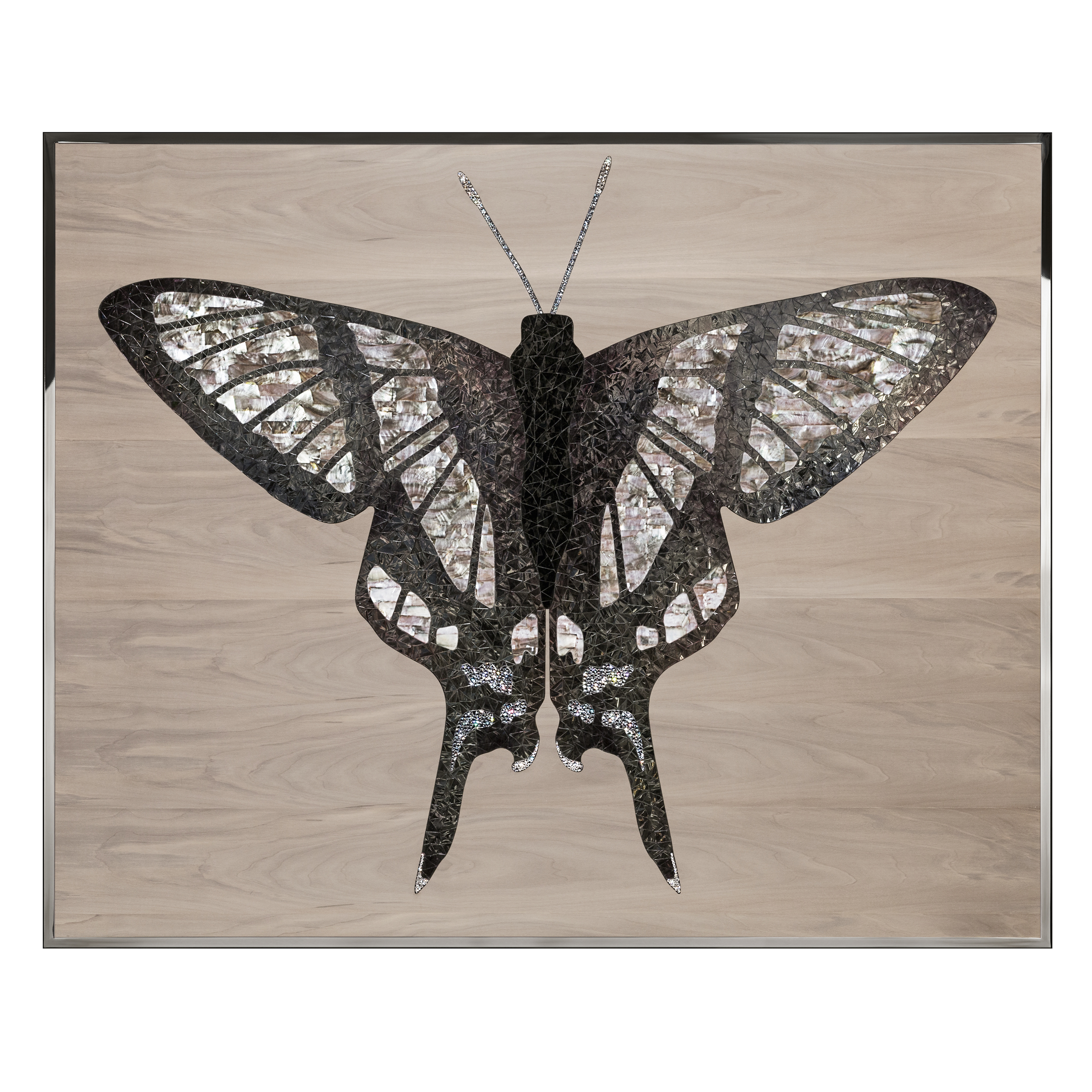 Danaus Произведение искусства из ископаемого дерева Visionnaire  - Вид №1