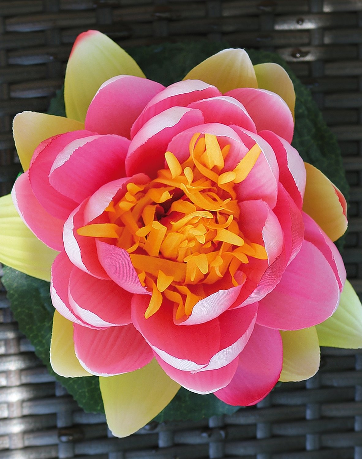 3865 515 a3 Кувшинка пластиковая, плавающая, Ø 15 см, розовая H-andreas 