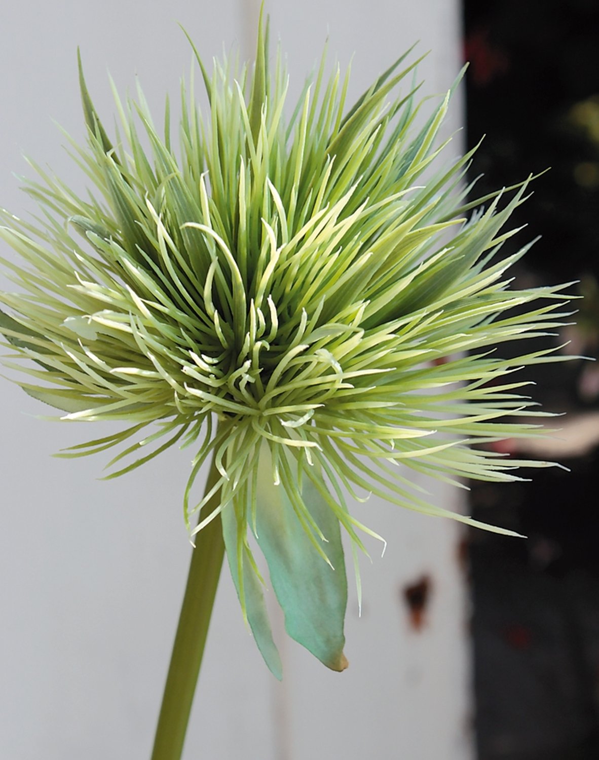 5851 883 a2 Искусственный ковыль китайский, 85 см, зеленый H-andreas  - Вид №3