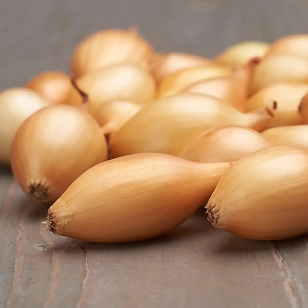 Лук-севок Шекспир (озимый) 900 г ПРЕСТИЖ СЕМЕНА STLM-2177245