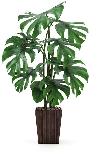 Laskasas Деревянная ваза sun-id-1392656 - Вид №1