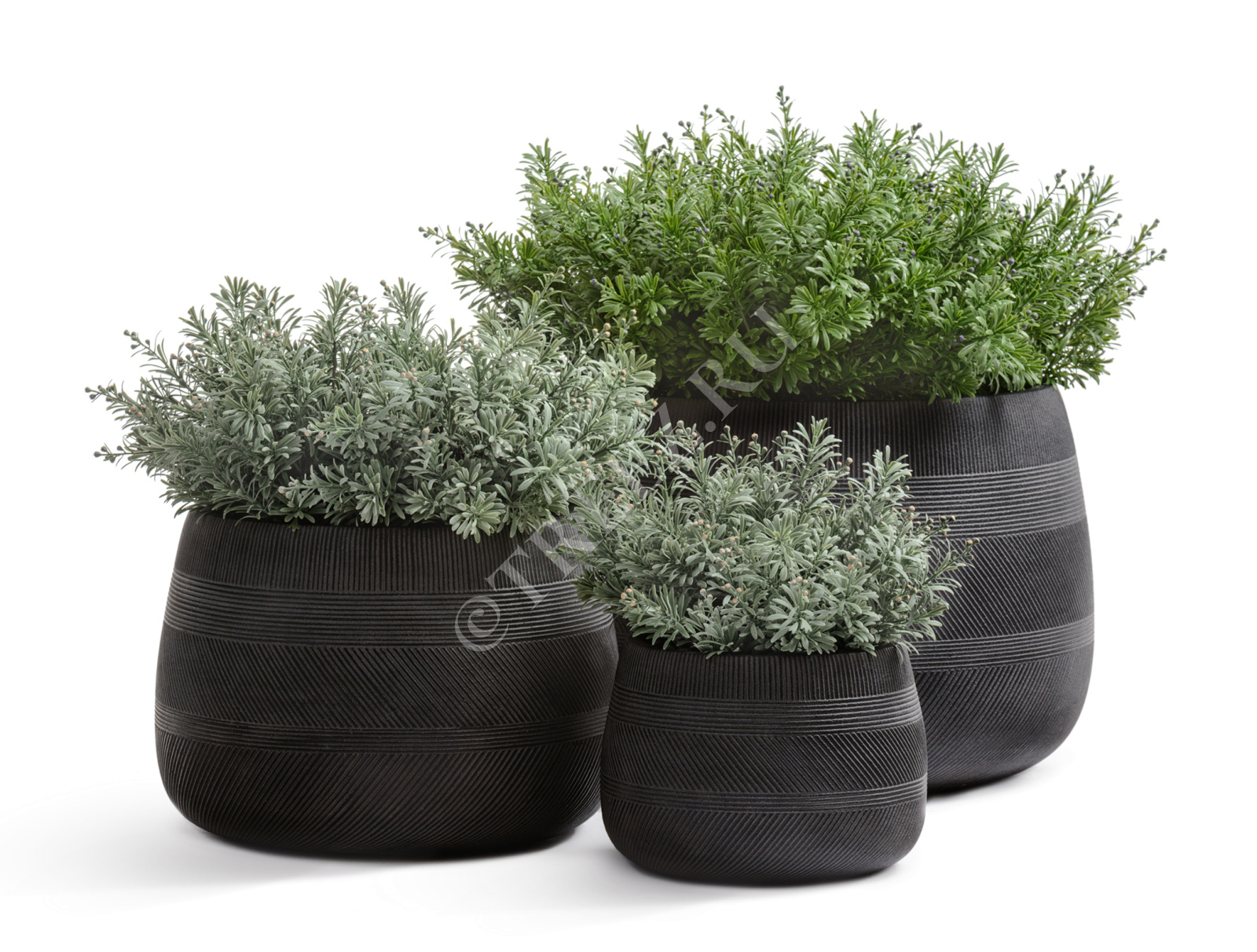 41.1020-0044-BLW-29 Кашпо  ERGO - серия Graphics - Низкая чаша - Чёрный графит Цветочная коллекция  - Вид №3