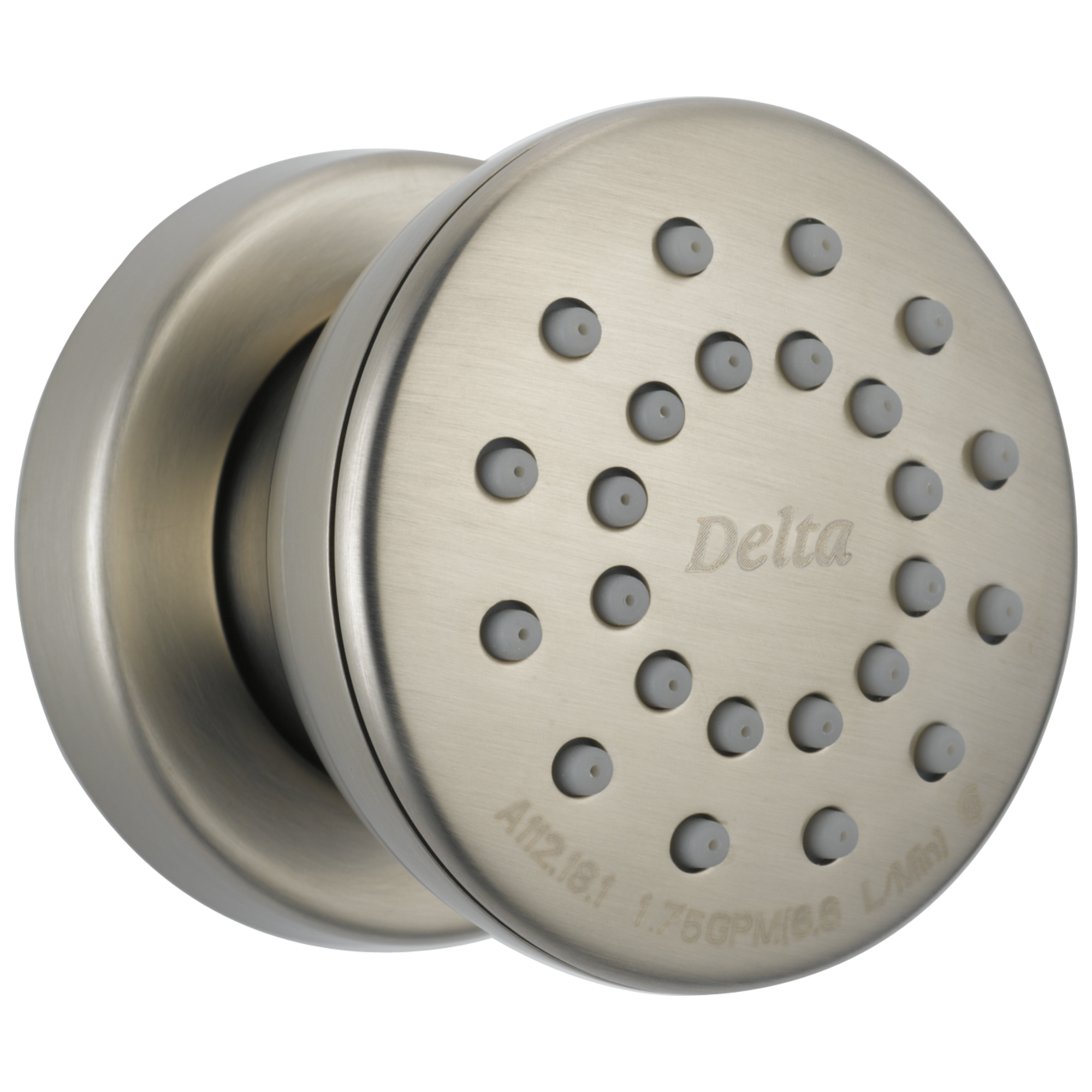 50102-SS Спрей для тела для поверхностного монтажа Delta Faucet Delta Нержавеющая сталь