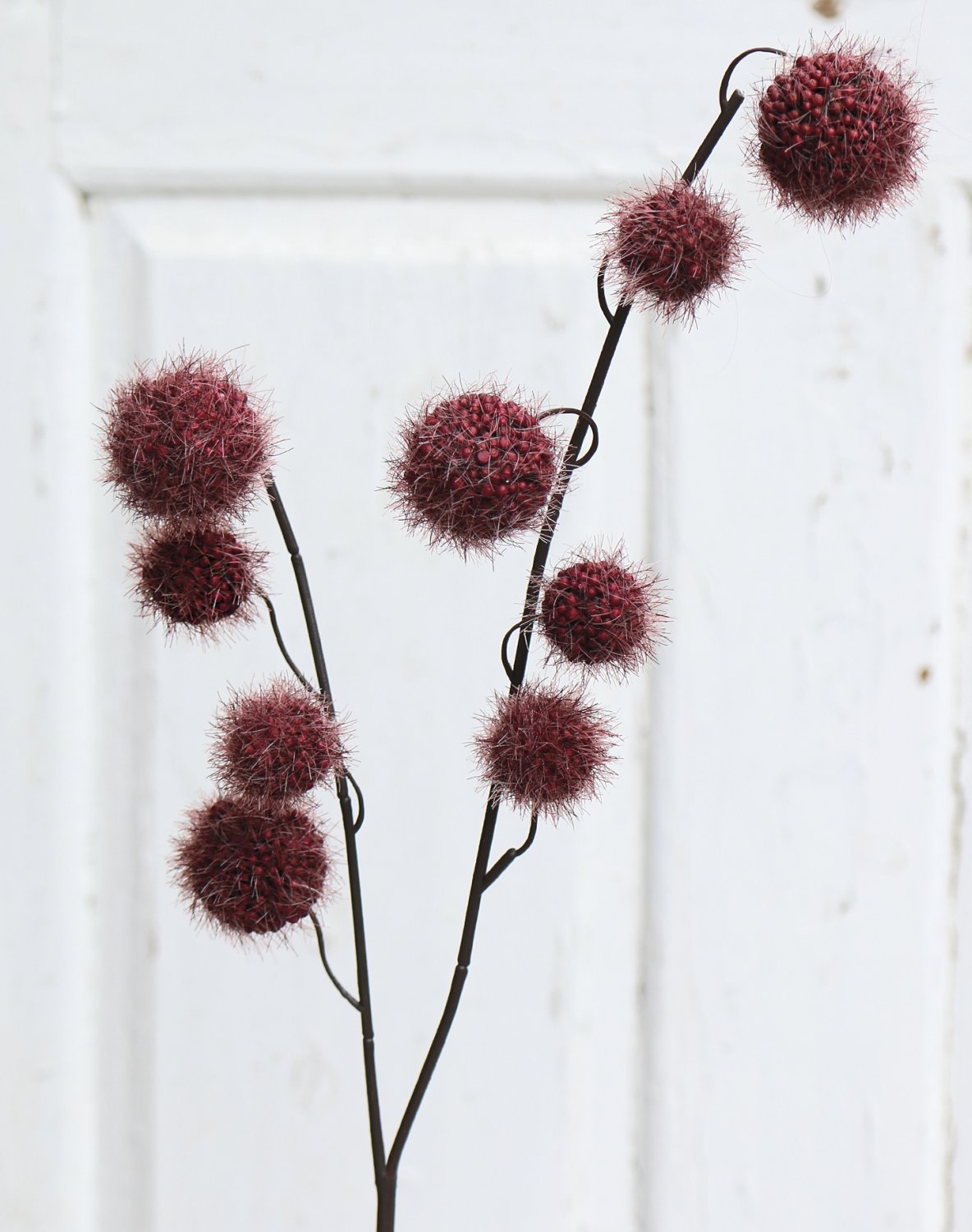 5549 490 a3 Фруктовая ветка гомфокарпус, 60 см, красно-черная H-andreas 