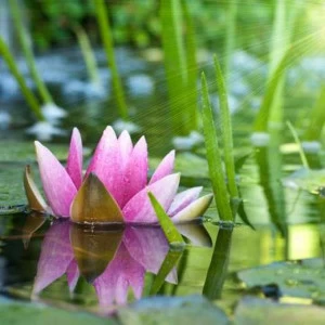 WP02347 Фотообои Verol Фотообои decoline 1х1 м