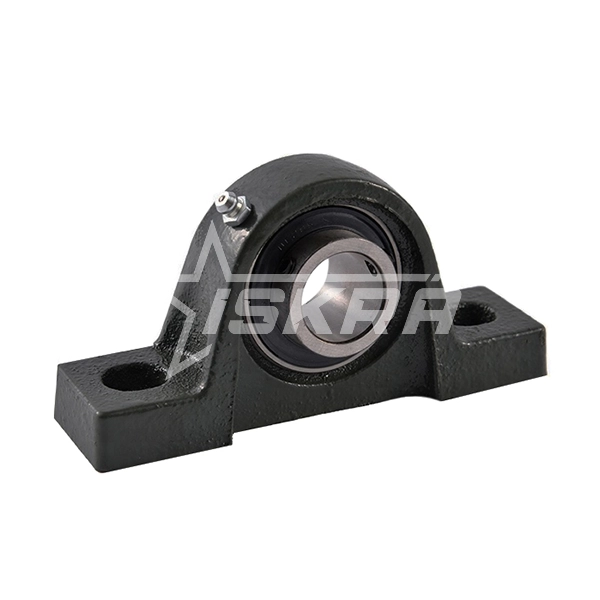 IS1902 Нержавеющий корпус P205 BSS ISKRA 