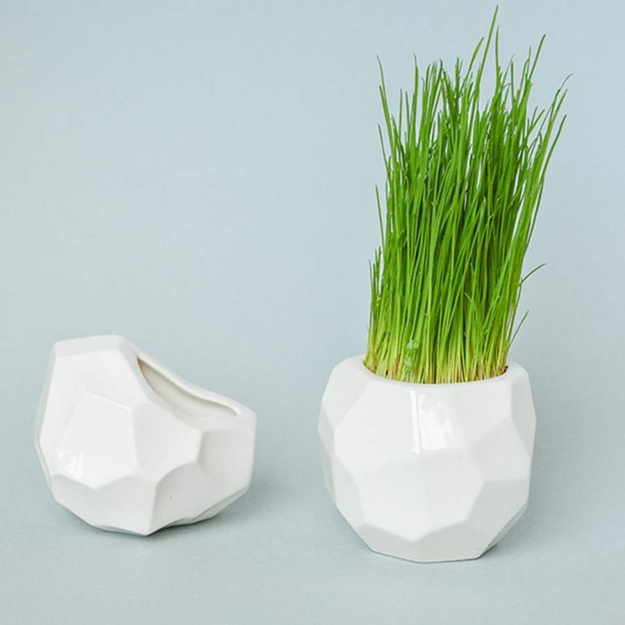 STM-2-03 Набор для выращивания eco кашпо магнит "метеорит" Экочеловеки 