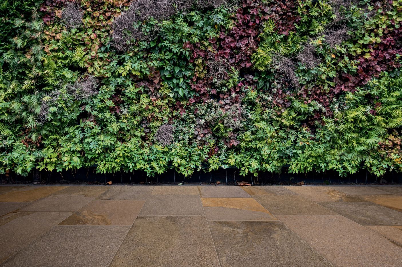 Напольная плитка из керамогранита Imola TRAIL ARCH-00020253 - Вид №6