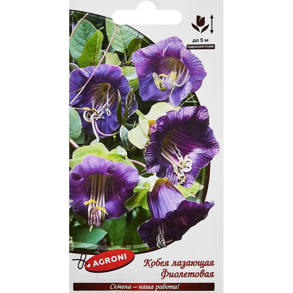 Семена цветов Agroni кобея лазающая фиолетовая 87030174 STLM-2062979 