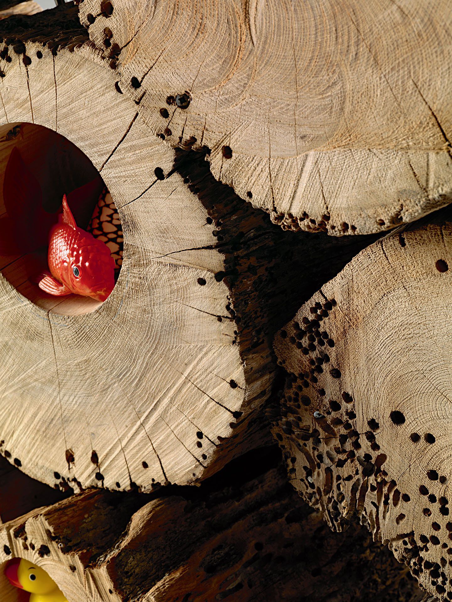 Деревянная перегородка из брикколы Riva 1920 BRICIOLE ARCH-00109027 - Вид №2