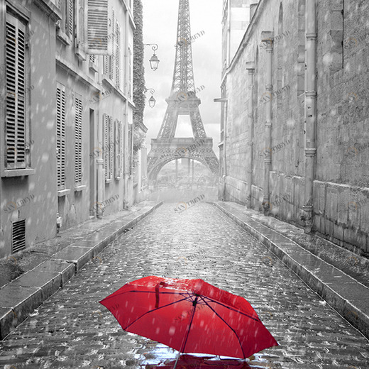 D1-085 Фотообои DIVINO Collection D 2.7х2 м D1085