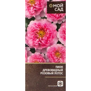 82142821 Пион древовидный привитый «Розовый Лотос» в тубе STLM-0963750