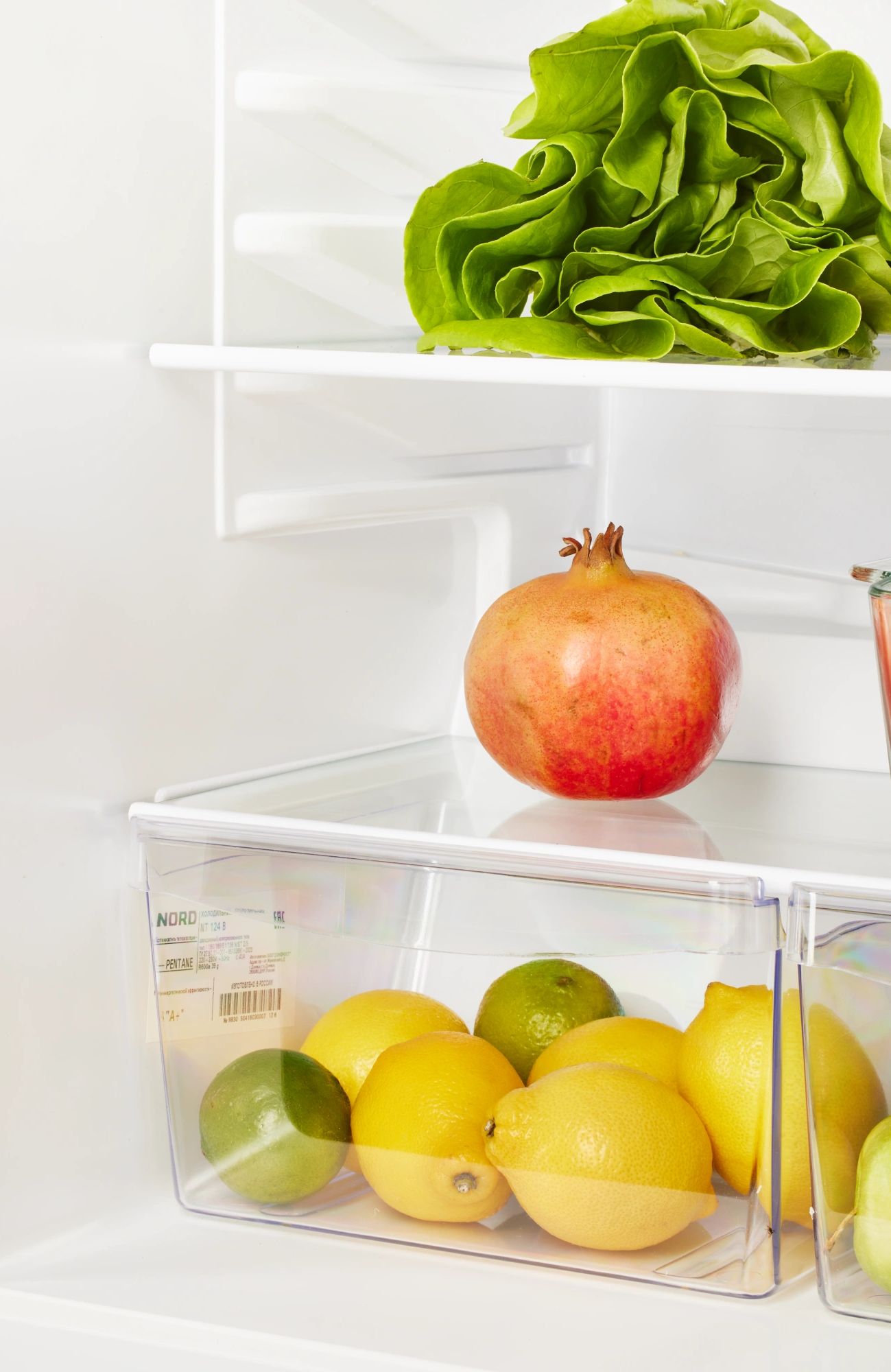 9291912 Холодильник компактный   NORD NT 124 B черный STDN-0141518 - Вид №6