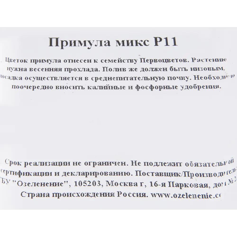 Примула микс 11x15 см 82560402 STLM-2009792 Santreyd  - Вид №3