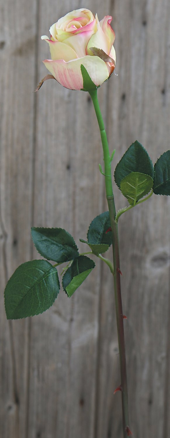 3350 508 a2 Искусственная роза, 58 см, розово-зеленая H-andreas  - Вид №4