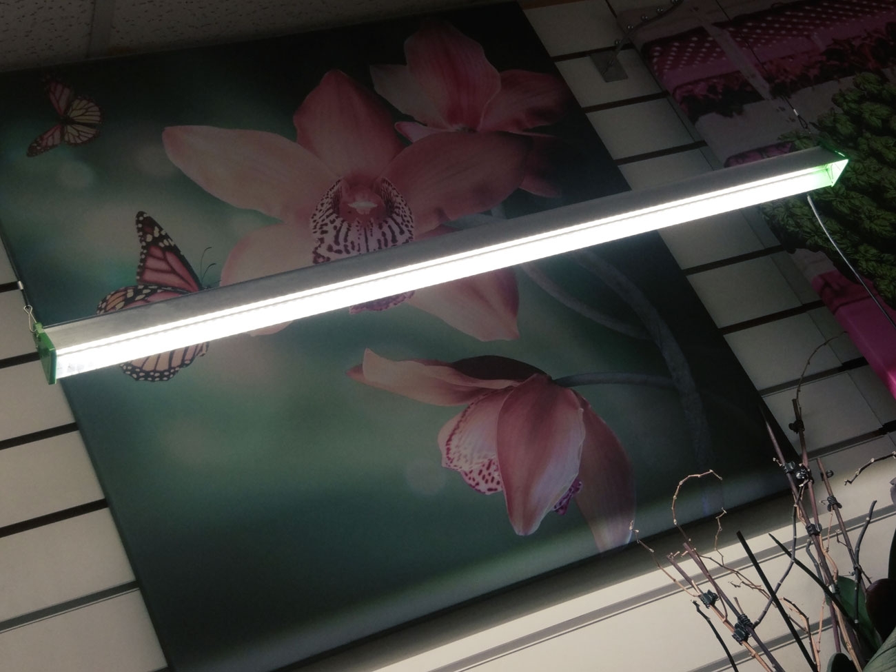 1122 Фитолампа для растений 30 Ватт. Длина 60 см. LAB.Space  - Вид №12