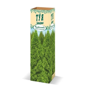 Туя западная сорт Брабант в коробке 82559137 STLM-2176339