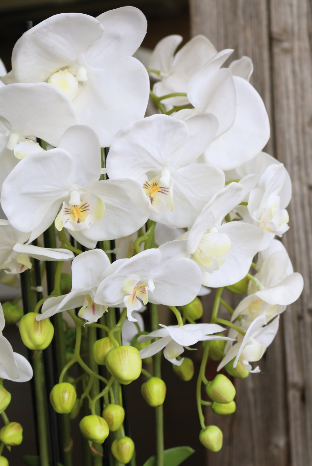 2861 777 a3 Пластиковая орхидея Phalaenopsis с 'почвой', 9-кратная, 70 см, real touch, белая H-andreas  - Вид №6