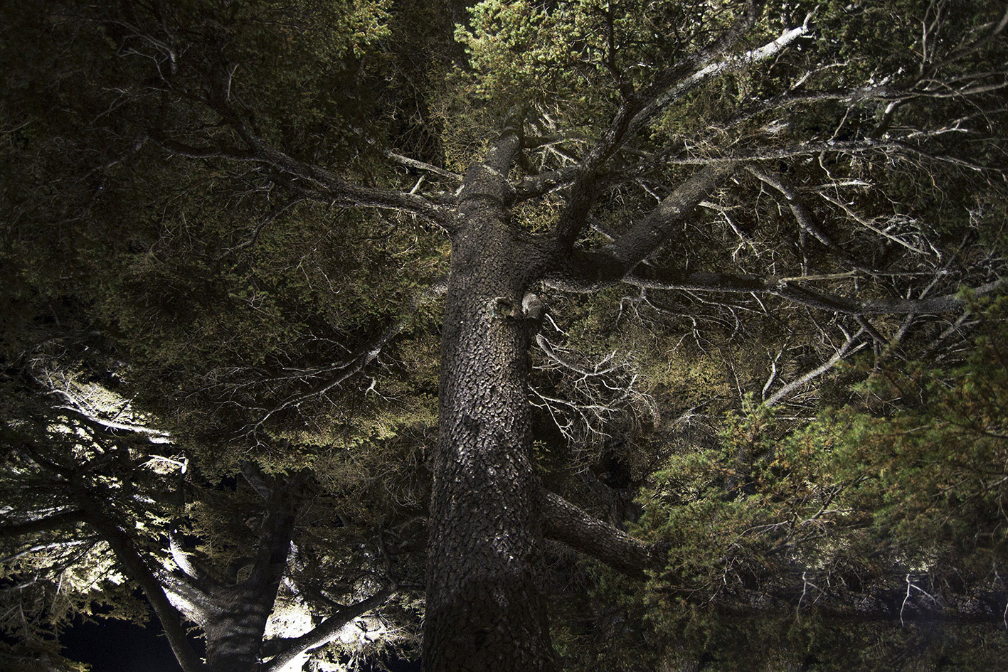 8322508 Проектор Platek SPRING Proiettore  SPRING Floodlight - 24 LED RGBW 45°  - Вид №3