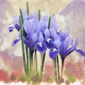 WP01466 Фотообои Verol Фотообои decoline 1х1 м