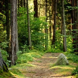 WP00173 Фотообои Verol Фотообои decoline 1х1 м