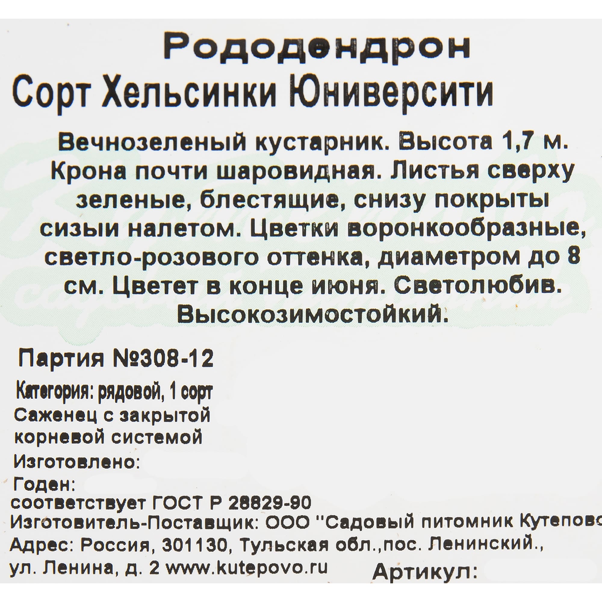 82594920 Рододендрон хельсинский «Юнивесити» 15x30 см Santreyd  - Вид №1