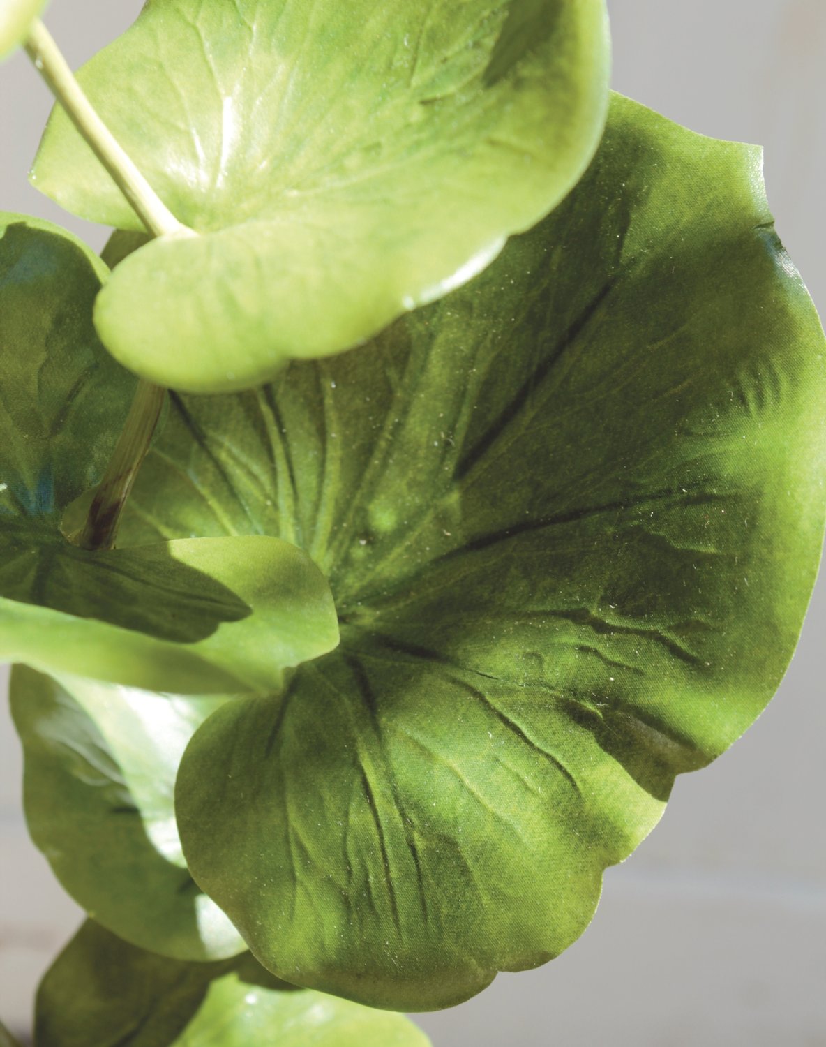 5389 883 a3 Искусственный эвкалиптовый спрей, 71 см, зеленый H-andreas  - Вид №1