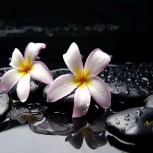 WP02406 Фотообои Verol Фотообои decoline 1х1 м